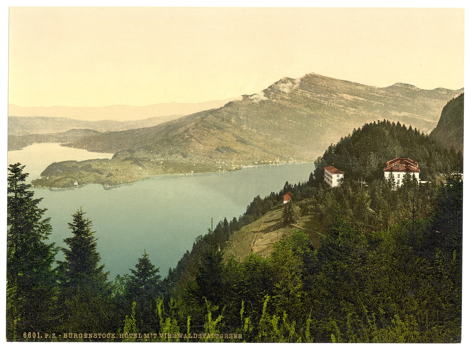 Bürgenstock über dem Vierwaldstättersee. Bild: Photochrom Print Collection, Wikimedia Commons, Public Domain.