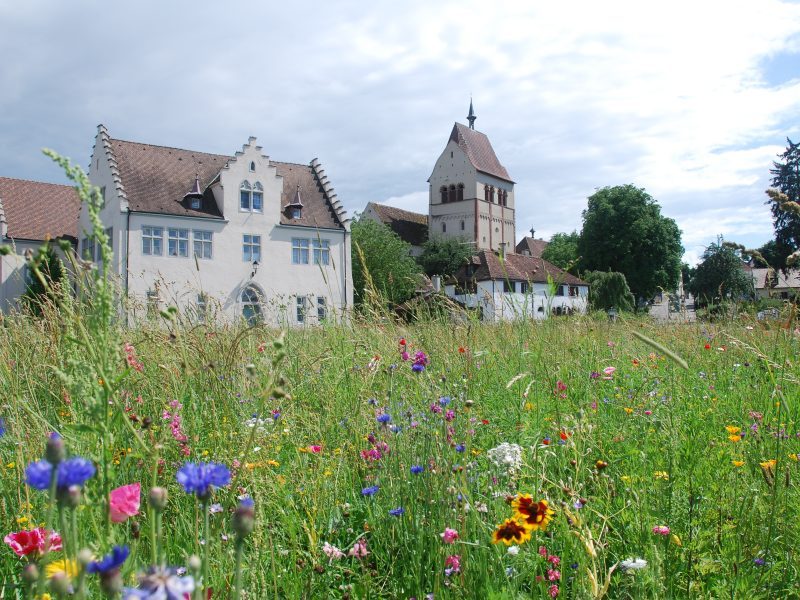 Kloster auf der Insel Reichenau am Bodensee