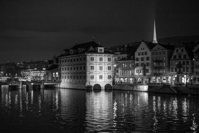 Zürcher Altstadt bei Nacht
